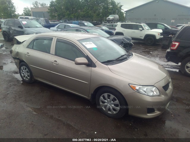 TOYOTA COROLLA 2010 2t1bu4ee9ac378365