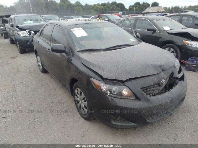 TOYOTA COROLLA 2010 2t1bu4ee9ac393075