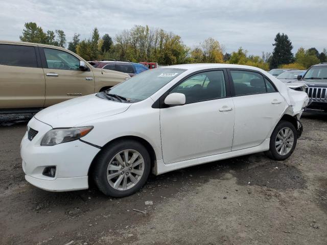 TOYOTA COROLLA 2010 2t1bu4ee9ac398731