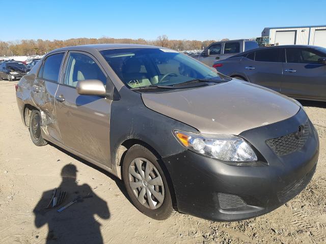 TOYOTA COROLLA 2010 2t1bu4ee9ac426320