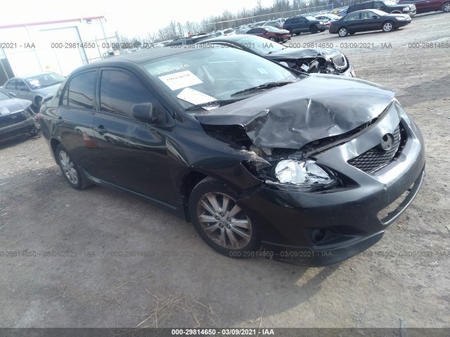 TOYOTA COROLLA 2010 2t1bu4ee9ac443683