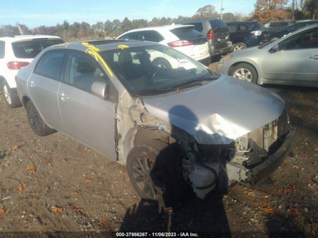 TOYOTA COROLLA 2010 2t1bu4ee9ac457907