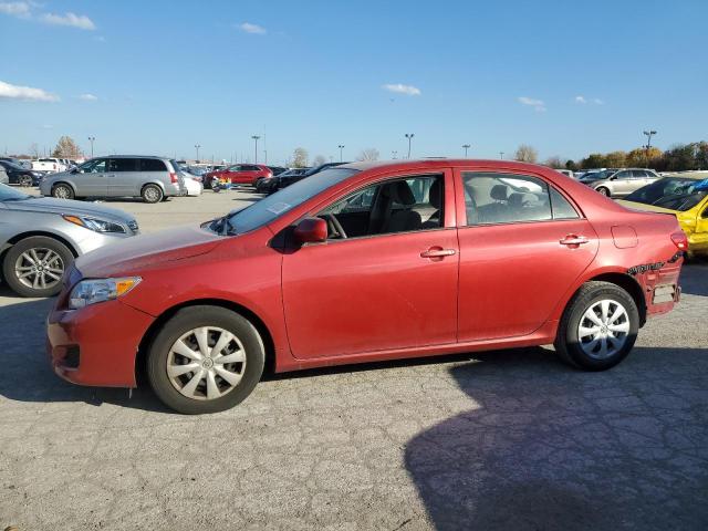 TOYOTA COROLLA 2010 2t1bu4ee9ac461956