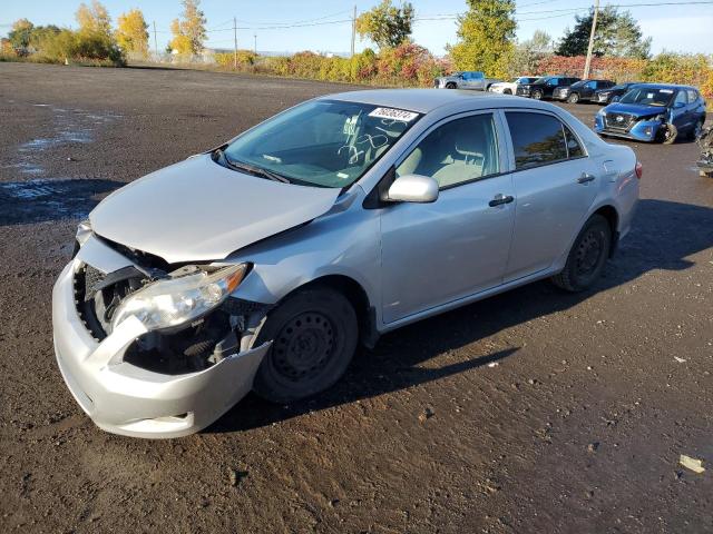 TOYOTA COROLLA BA 2010 2t1bu4ee9ac466641