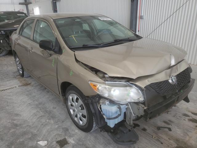 TOYOTA COROLLA BA 2010 2t1bu4ee9ac502067