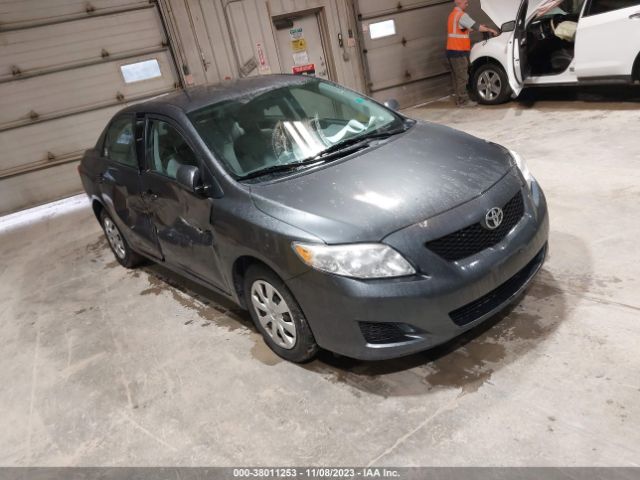 TOYOTA COROLLA 2010 2t1bu4ee9ac502683