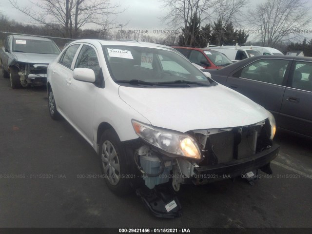 TOYOTA COROLLA 2010 2t1bu4ee9ac504238