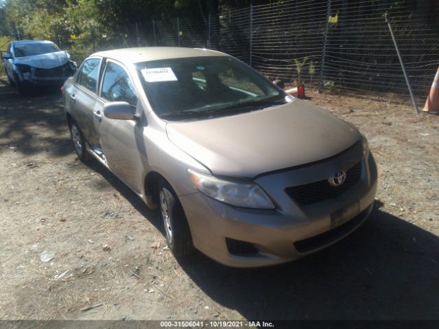 TOYOTA COROLLA 2010 2t1bu4ee9ac506507