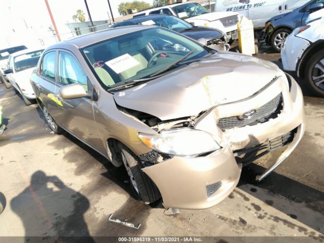 TOYOTA COROLLA 2010 2t1bu4ee9ac506541