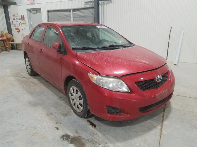 TOYOTA COROLLA BA 2010 2t1bu4ee9ac512937