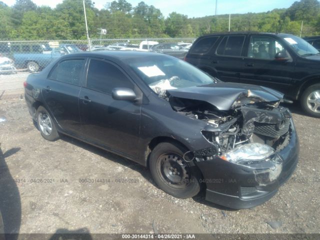 TOYOTA COROLLA 2010 2t1bu4ee9ac514994