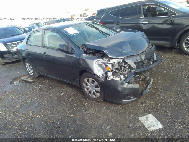 TOYOTA COROLLA 2010 2t1bu4ee9ac516177