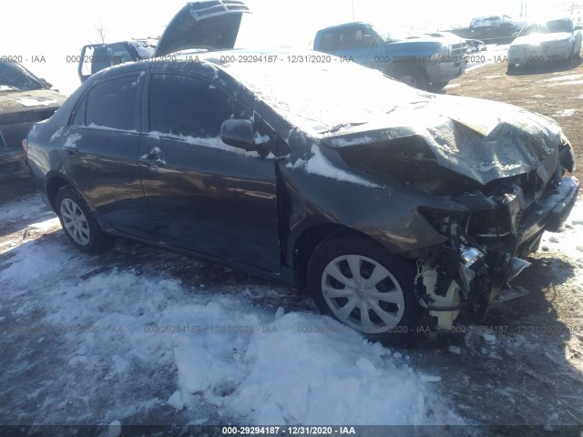 TOYOTA COROLLA 2010 2t1bu4ee9ac520990