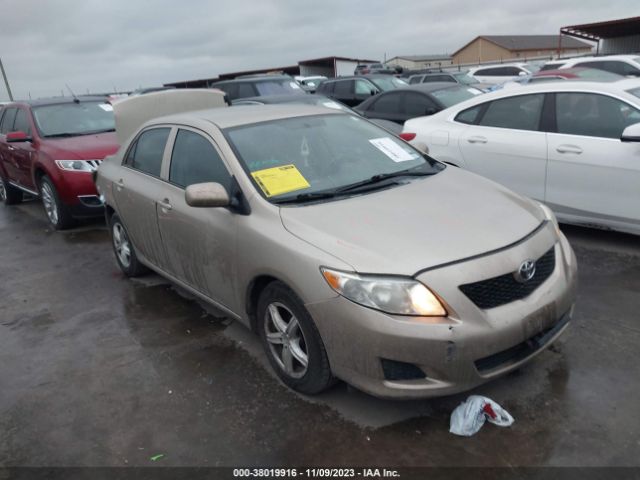 TOYOTA COROLLA 2010 2t1bu4ee9ac530306