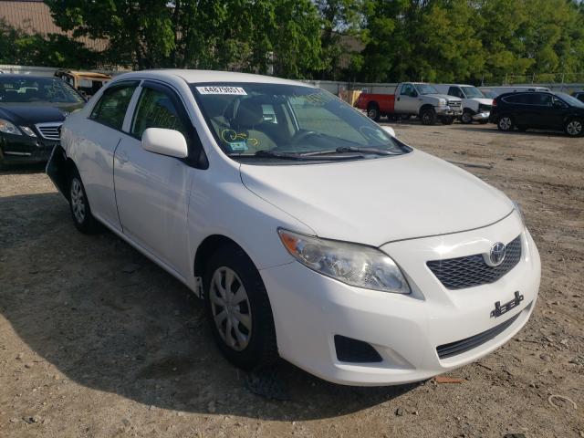 TOYOTA COROLLA 2010 2t1bu4ee9ac534291