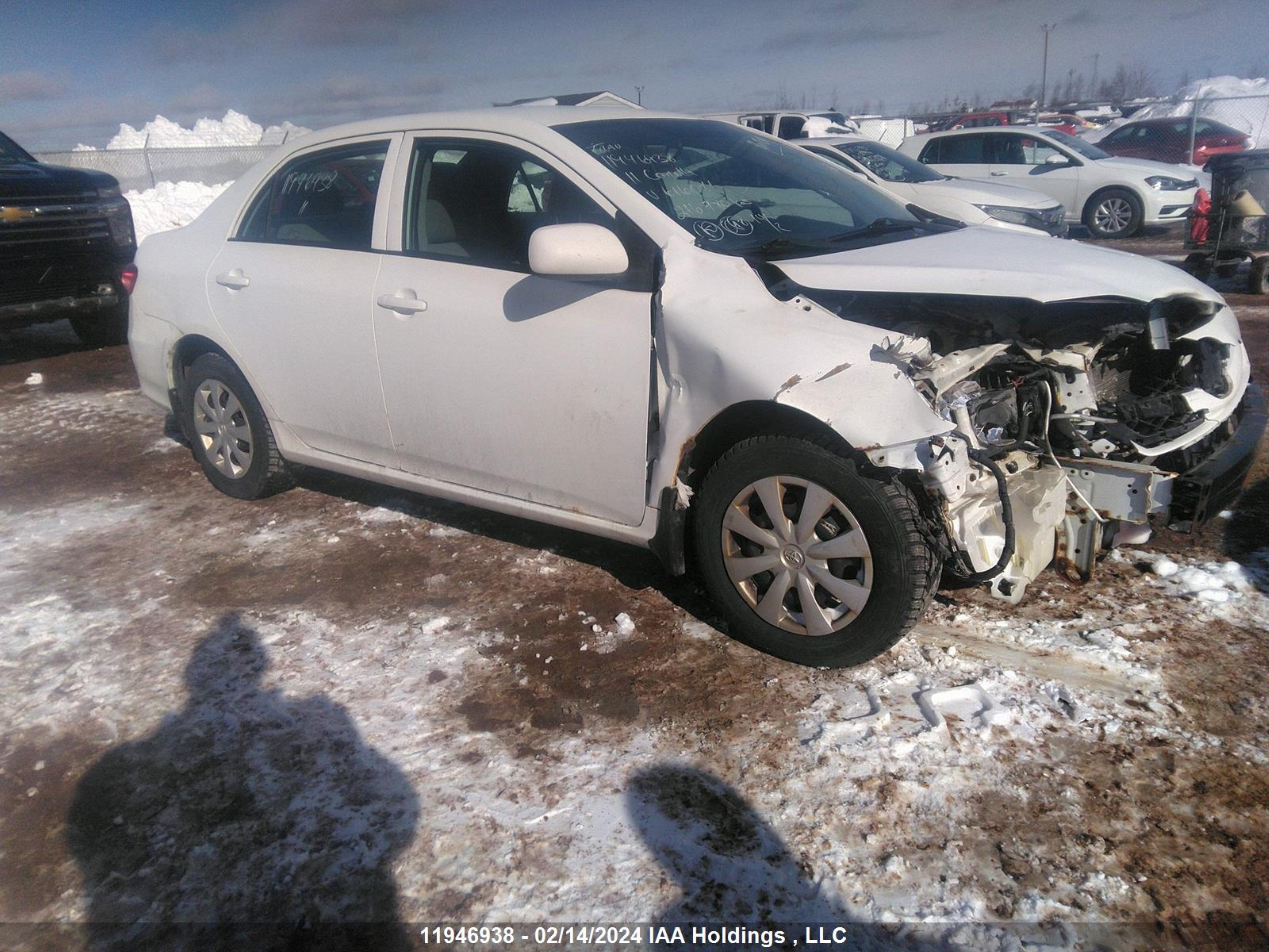 TOYOTA COROLLA 2011 2t1bu4ee9bc616071