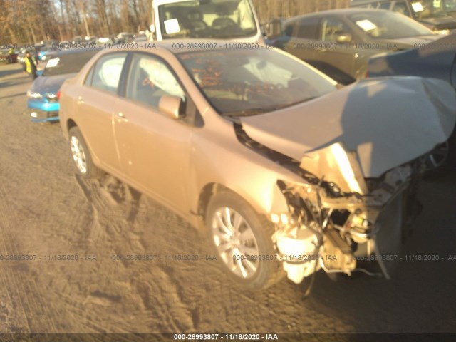 TOYOTA COROLLA 2013 2t1bu4ee9dc972975