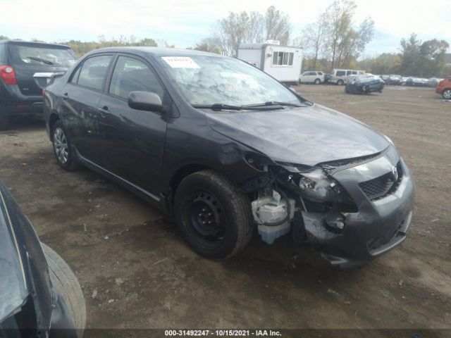 TOYOTA COROLLA 2010 2t1bu4eexac199154