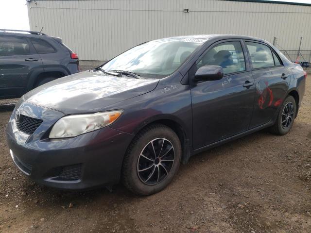 TOYOTA COROLLA BA 2010 2t1bu4eexac204384