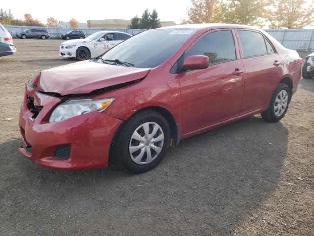 TOYOTA COROLLA 2010 2t1bu4eexac207477