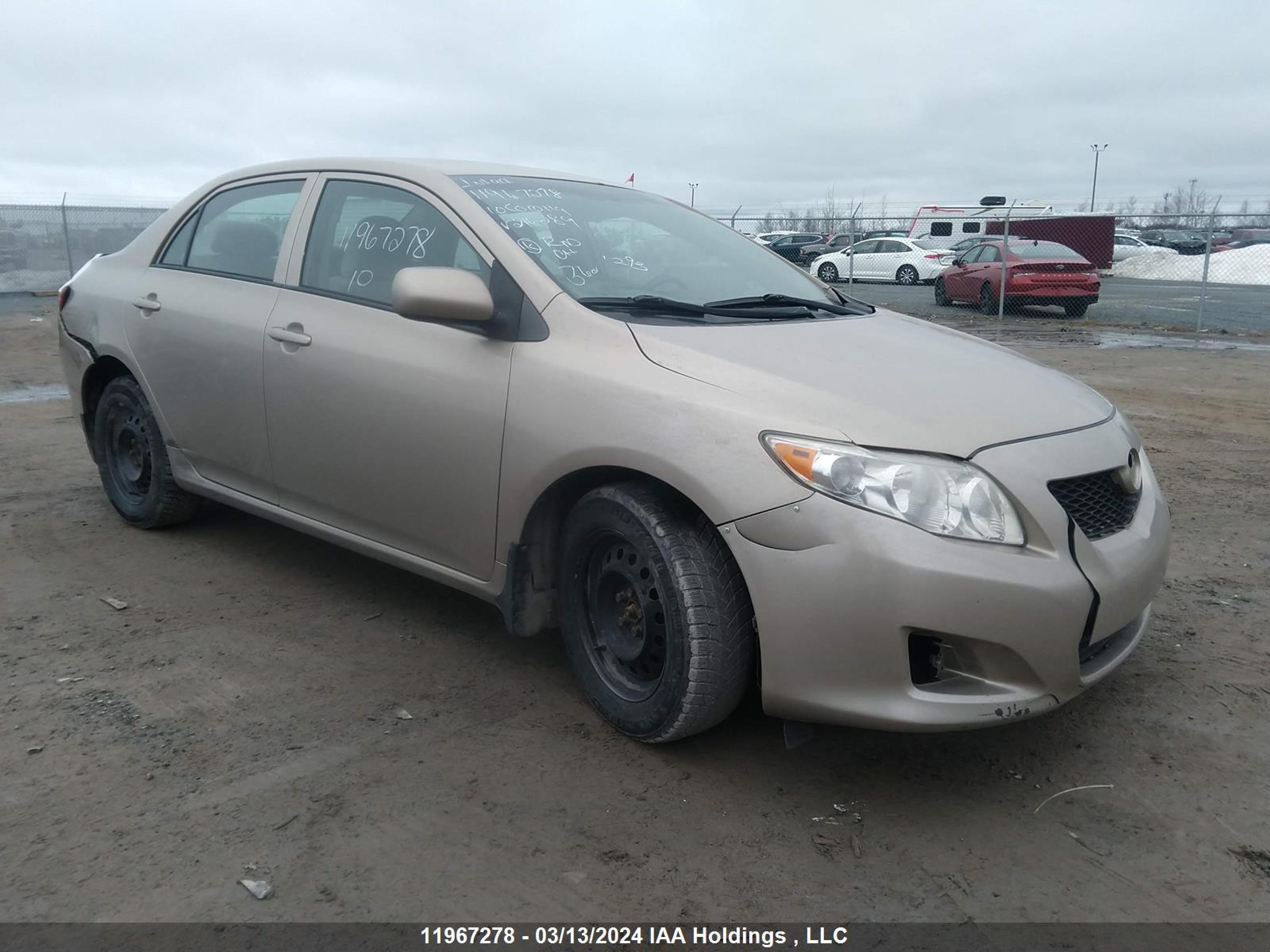 TOYOTA COROLLA 2010 2t1bu4eexac216289