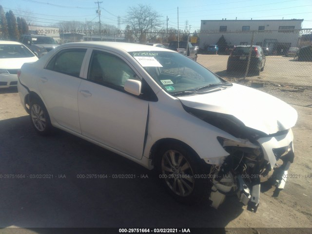 TOYOTA COROLLA 2010 2t1bu4eexac220746