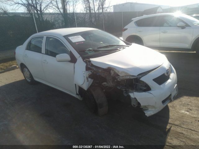 TOYOTA COROLLA 2010 2t1bu4eexac231889