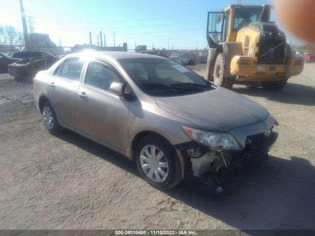 TOYOTA COROLLA 2010 2t1bu4eexac236736