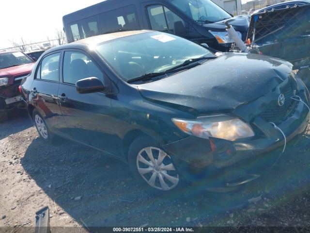 TOYOTA COROLLA 2010 2t1bu4eexac239488