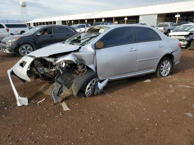 TOYOTA COROLLA 2010 2t1bu4eexac245307