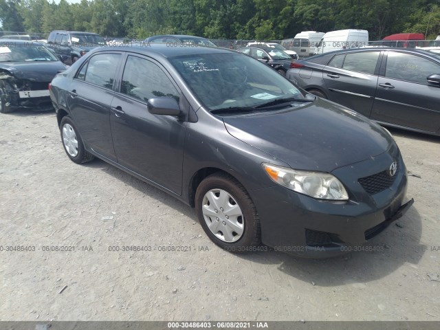 TOYOTA COROLLA 2010 2t1bu4eexac252774