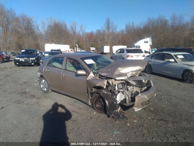 TOYOTA COROLLA 2010 2t1bu4eexac255481