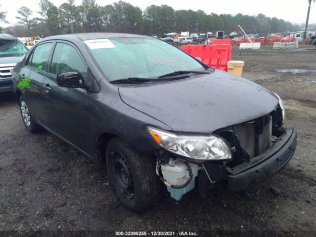 TOYOTA COROLLA 2010 2t1bu4eexac258249