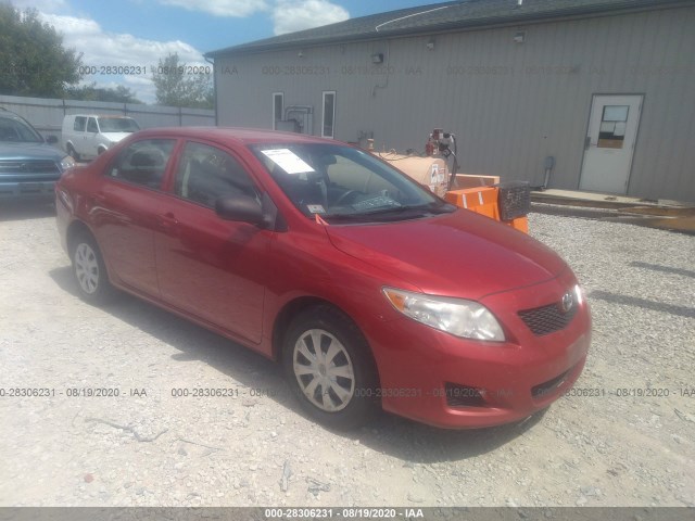 TOYOTA COROLLA 2010 2t1bu4eexac267629