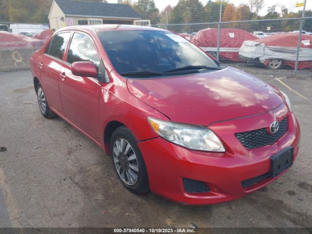 TOYOTA COROLLA 2010 2t1bu4eexac268411