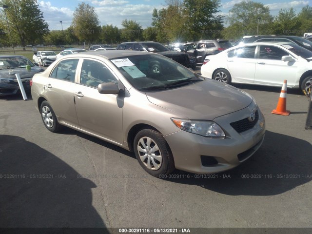 TOYOTA COROLLA 2010 2t1bu4eexac269039