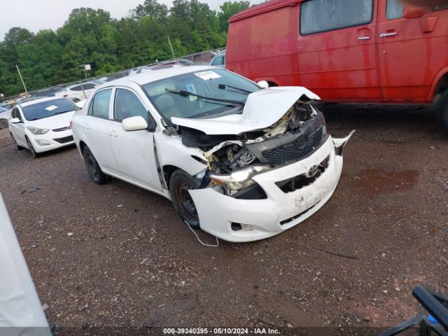 TOYOTA COROLLA 2010 2t1bu4eexac271776