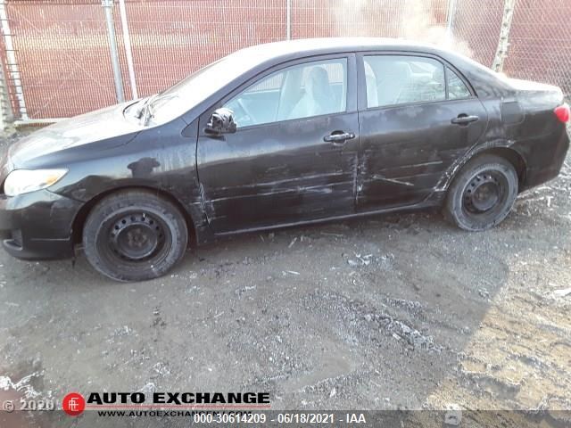 TOYOTA COROLLA 2010 2t1bu4eexac287055