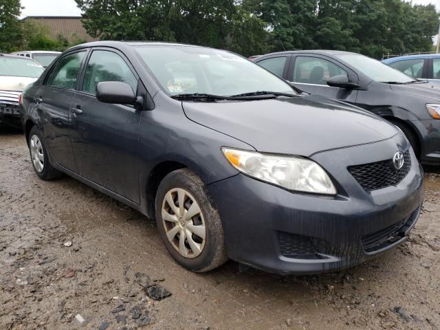 TOYOTA COROLLA 2010 2t1bu4eexac287203