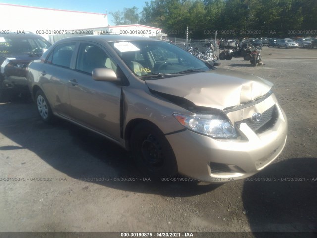 TOYOTA COROLLA 2010 2t1bu4eexac291946