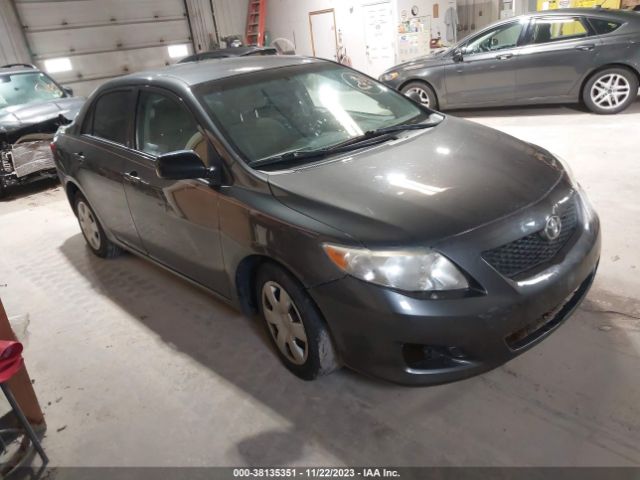 TOYOTA COROLLA 2010 2t1bu4eexac293535