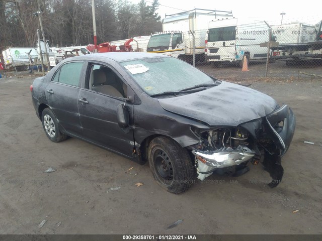 TOYOTA COROLLA 2010 2t1bu4eexac302959