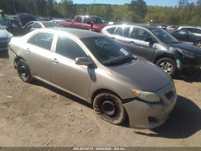 TOYOTA COROLLA 2010 2t1bu4eexac309992