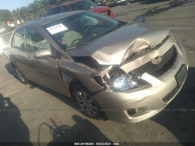 TOYOTA COROLLA 2010 2t1bu4eexac310575