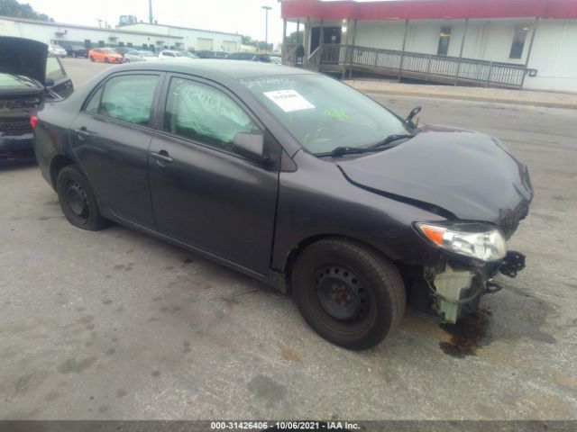 TOYOTA COROLLA 2010 2t1bu4eexac312570