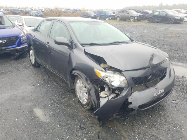 TOYOTA COROLLA BA 2010 2t1bu4eexac318661