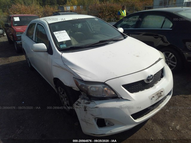 TOYOTA COROLLA 2010 2t1bu4eexac318773