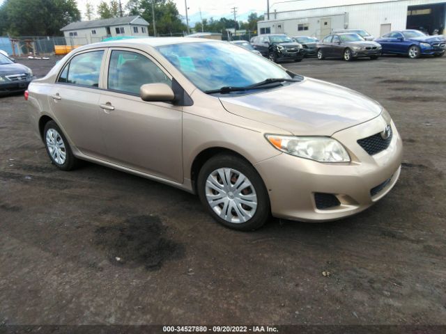 TOYOTA COROLLA 2010 2t1bu4eexac318837