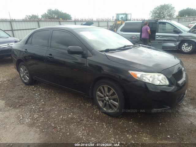 TOYOTA COROLLA 2010 2t1bu4eexac318904