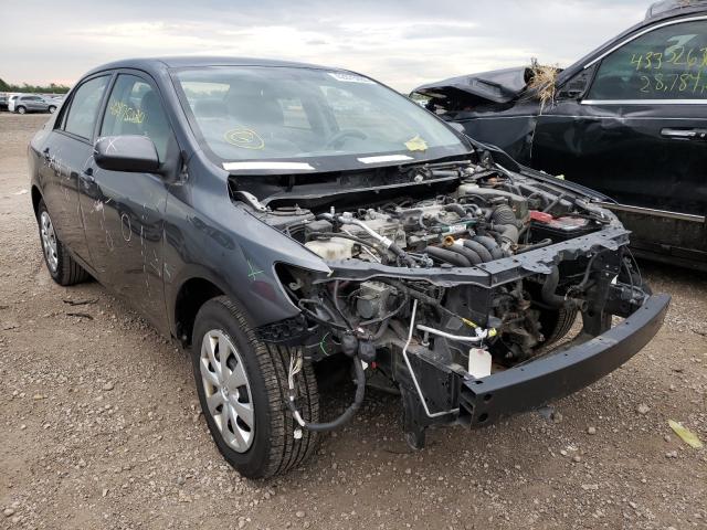 TOYOTA NULL 2010 2t1bu4eexac321253